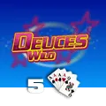Deuces Wild 5 Hand - BIROPAY28