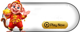 Spinocchio - BIROPAY28