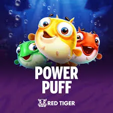 Power Puff - BIROPAY28