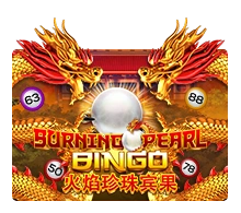 Burning Pearl Bingo - BIROPAY28