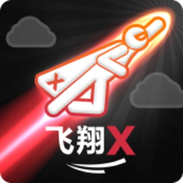 FlyX - BIROPAY28