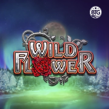 Bigtime : Wild Flower - BIROPAY28