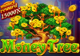 AFB : Pohon Duit - BIROPAY28