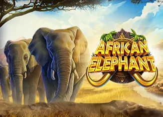 Pragmatic : African Elephant - BIROPAY28